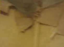 «Вспучились полы, отлетели обои», – общественники призвали коммунальщиков срочно решить проблему ледяного ада в воронежском жилом доме