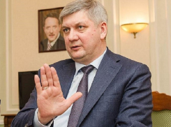 Губернатор Гусев пресёк поползновения на репутацию вице-спикера Гордеева 