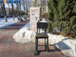 Одной фирме достались оба контракта на работы по содержанию зеленых насаждения в самом центре Воронежа