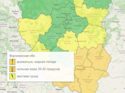 Гидрометцентр установил оранжевый уровень опасности в Воронеже