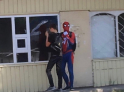 Потрепанного жизнью в Воронеже Человека-паука встретили на улице 