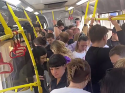 «На крыше ездить?»: о давке в автобусе средь бела дня сообщили воронежцы 