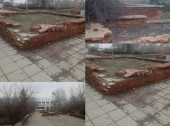 Воронежцы назвали причину лютого запустения Литературного парка в центре города