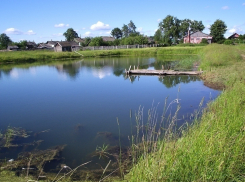 В Воронежской области в пруду утонул 56-летний мужчина