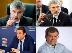 Топ-7 воронежских депутатов Госдумы по доходам за 2017 год