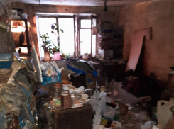 «Пришлось ломать дверь»: стало известно, где сейчас находятся спасенные из воронежской «смердячей» квартиры животные