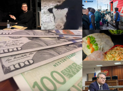 Коронавирус в Воронеже с 14 по 20 февраля: + 35 856 заболевших, игнорирование ограничений, медосмотры беженцев и малыш «омикрон»