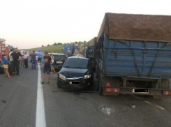 На воронежской трассе в жутком ДТП с 10 автомобилями погибли два человека