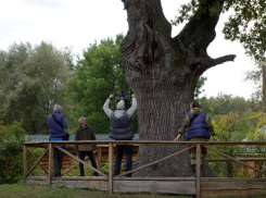 Заповедные места Воронежской области покажут на федеральном телеканале «Живая планета»