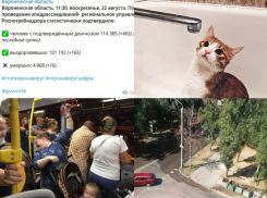 Коронавирус в Воронеже 22 августа: +16 смертей, отключение горячей воды и фекальный потоп