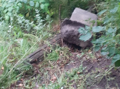 Неизвестные вандалы свалили копию «Половецкой бабы» на экологической тропе в Воронеже