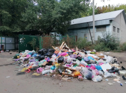 “Были возгорания”: мусорный склад нашли в центре Воронежа