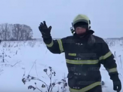 Избиение журналиста на месте крушения воронежского Ан-148 проверят в МЧС