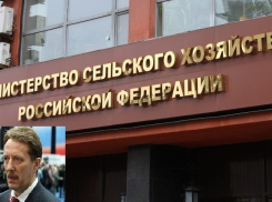 В Министерстве сельского хозяйства изучают возможность субсидировать воронежских аграриев 