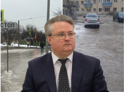 Воронежцы назвали виновного в ледяном апокалипсисе