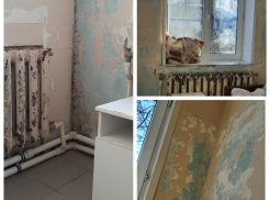 Сайлент Хилл в воронежской больнице прокомментировал департамент здравоохранения 