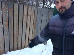Под Воронежем коммунисты заметили красный снег