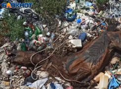 Жуткую находку обнаружил воронежец в яме 