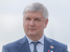 Воронежцам предложили задать вопросы губернатору