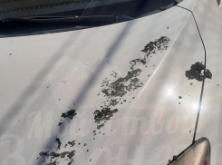 Возмутительное поведение жительницы Воронежа на парковке попало на видео