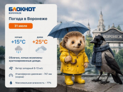 Грозы сменяются теплотой солнца: погода в Воронеже на три дня