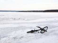 Велосипедисты провалились под лед водохранилища в Воронеже