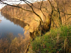В Воронеже появится новый экотуристический маршрут Большая экологическая тропа