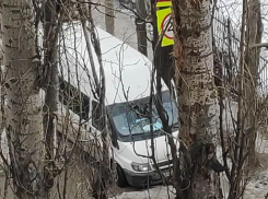 Мегаяма отравила жизнь еще одного водителя в Воронеже 