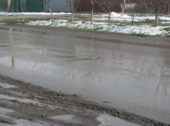 Синоптики пообещали воронежцам теплый остаток января