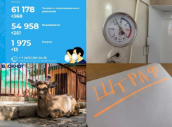 Коронавирус в Воронеже 8 февраля: чертова дюжина смертей, мощная авария на сетях и рекорд по штрафам