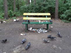 Воронежцы грязным образом обесценили дары депутата горДумы Жукова