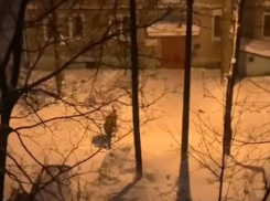 Настоящего героя засняли на видео в Воронеже