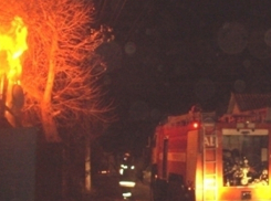 В Воронежской области молодая мать и два ребенка погибли в огне пожара