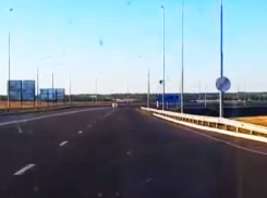 Структура олигарха Ротенберга проложит платную дорогу в Воронежской области