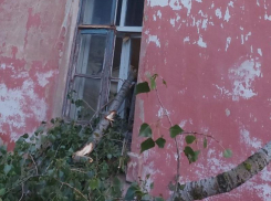 Веселая ночь: как непогода ударила по двору воронежского дома