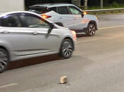 О неприятном сюрпризе для автомобилистов сообщили жители Воронежа