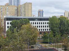 Мэрия наградила крупными штрафами «Коттедж-Индустрию» за срывы важного объекта в Воронеже