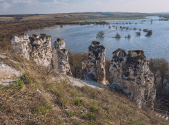 Эффект «Вау» вызвали у воронежцев снимки разлившегося Дона 