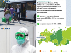 Коронавирус в Воронеже 15 ноября: +308 зараженных, 12 смертей и место региона на ковидной карте России 