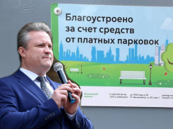 Москва показала сити-менеджеру Воронежа Кстенину, как надо делать полезные платные парковки
