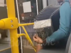 Заказывайте «Калинку»: музыкальный виртуоз появился в воронежской маршрутке