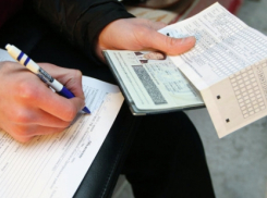 Воронежская полиция задержала нелегальных мигрантов на универсальном рынке