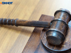 Чиновники подали в суд на мужа главы Общественной палаты Воронежской области