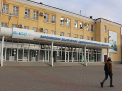 На Воронежском авиазаводе рабочего убило веткой