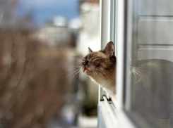 Весна сделает громкое заявление на выходных в Воронеже