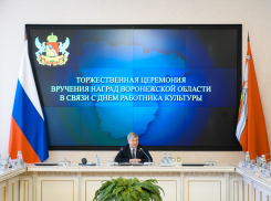 Александр Гусев указал, что Воронеж нельзя представить без Платонфеста