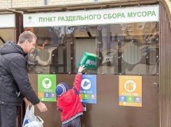 Только 4% воронежцев имеют доступ к бакам для раздельного сбора мусора