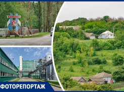 Шикарные закаты и трудолюбивые люди: красоты района Воронежской области показали на фото