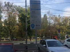 Названа сумма, которую потратили воронежцы на платные парковки 