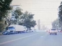 Момент падения дерева на машины попал на видео в Воронеже